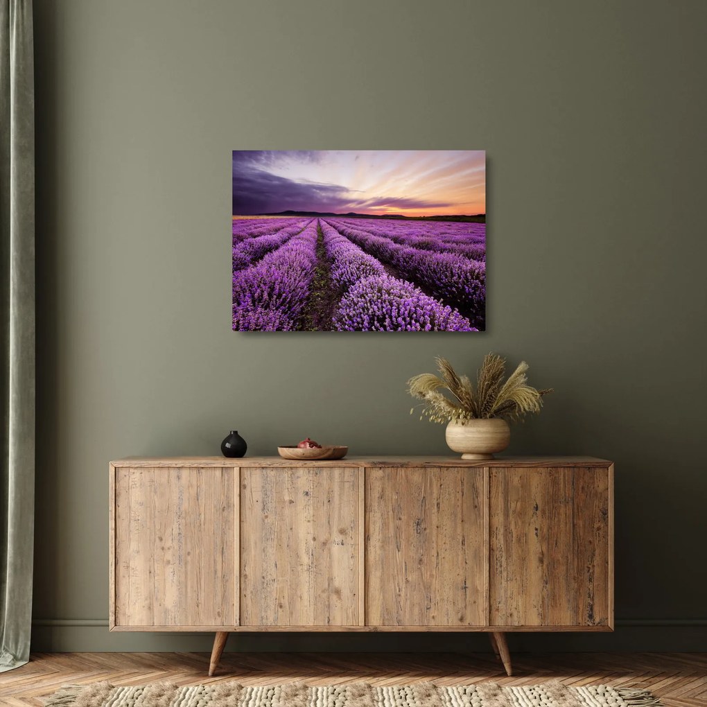Sklenený obraz - Levanduľové pole pri západe slnka (70x50 cm)