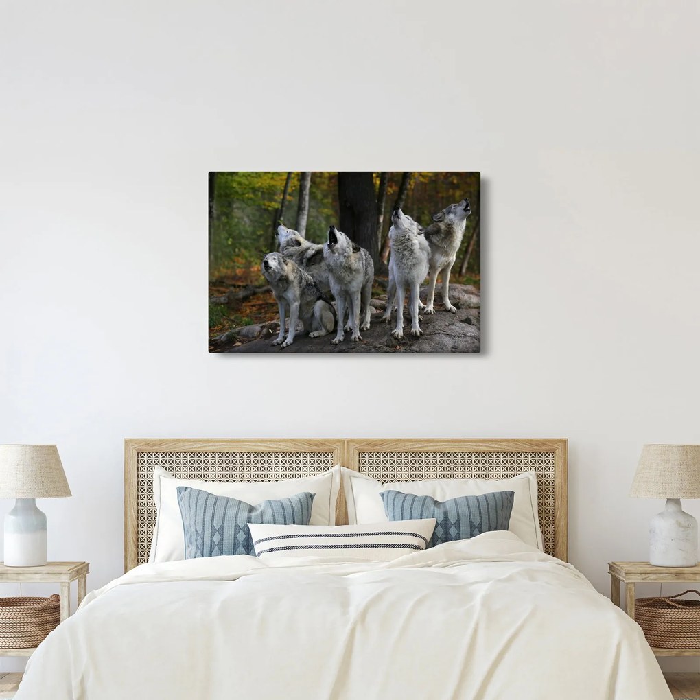 Obraz - Vlci na skale (90x60 cm)