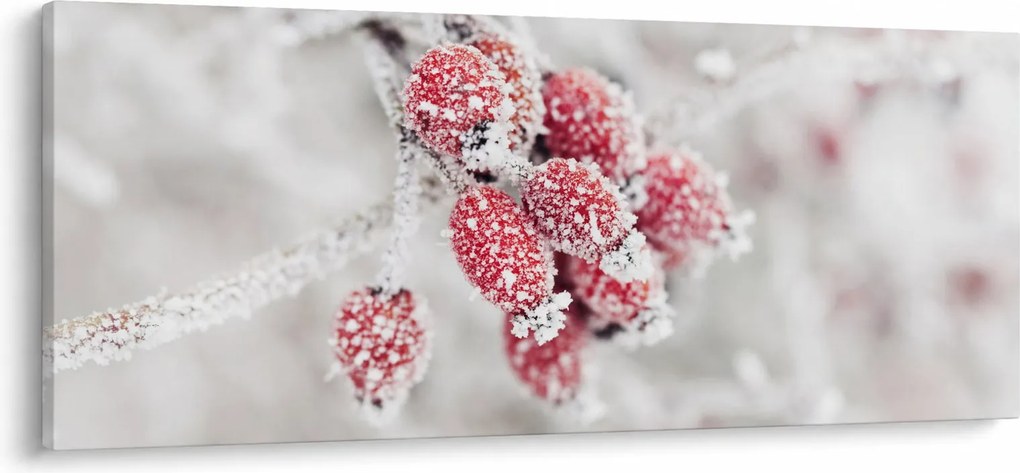 Obraz - Zamrznuté plody (120x50 cm)