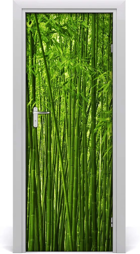 Fototapeta na dvere  Bambusový les