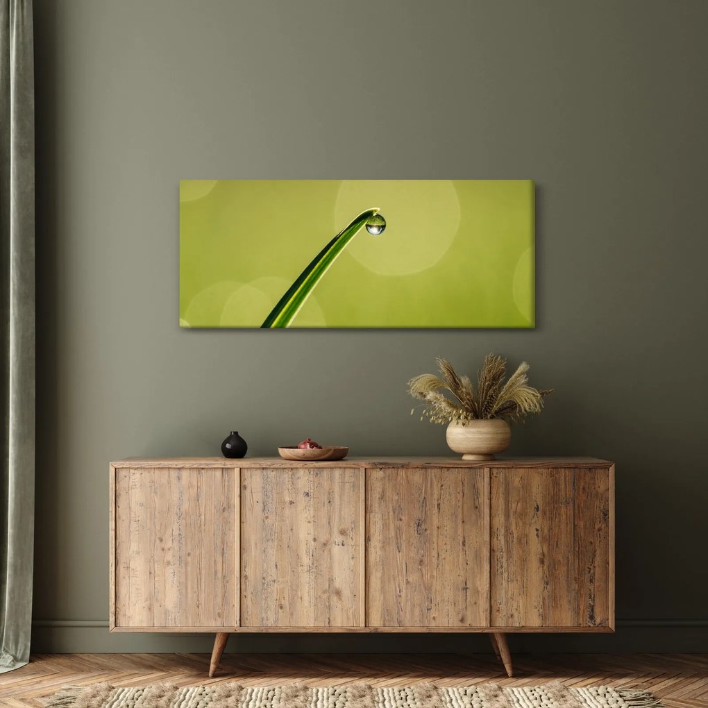 Obraz kvapky vody na tráve (120x50 cm)