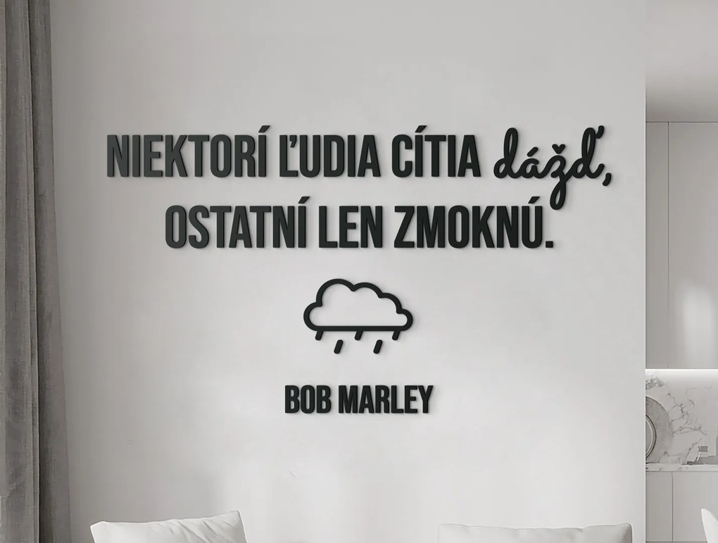 drevko Drevený citát Niektorí ľudia cítia dážď Rozmer obrazu: 49 x 85,5 cm, Farba dekorácie: Čierna