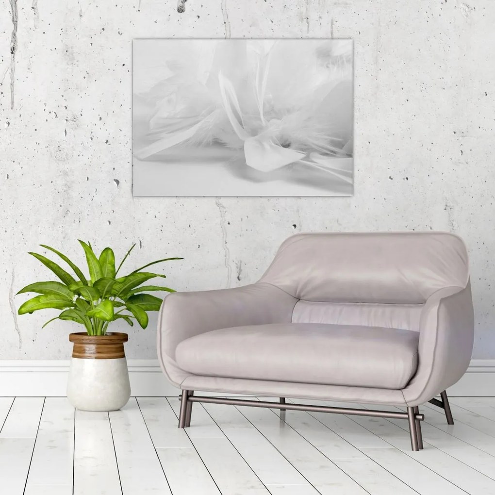 Obraz - Perie (70x50 cm)