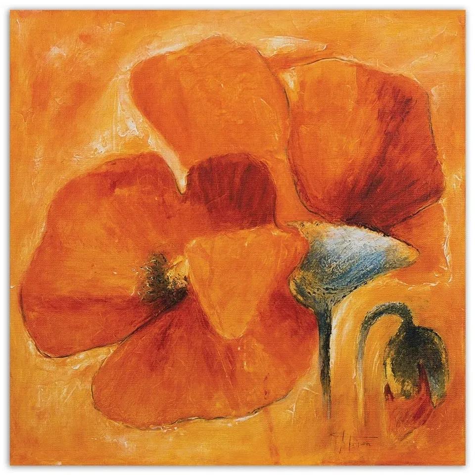 Obraz na plátně Květina Poppy Orange - 40x40 cm