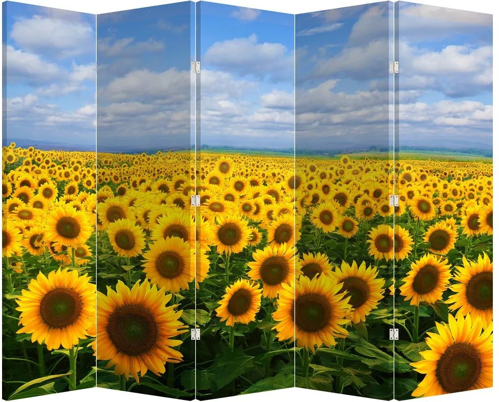 Paraván - Slnečnicové polia (210x170 cm)