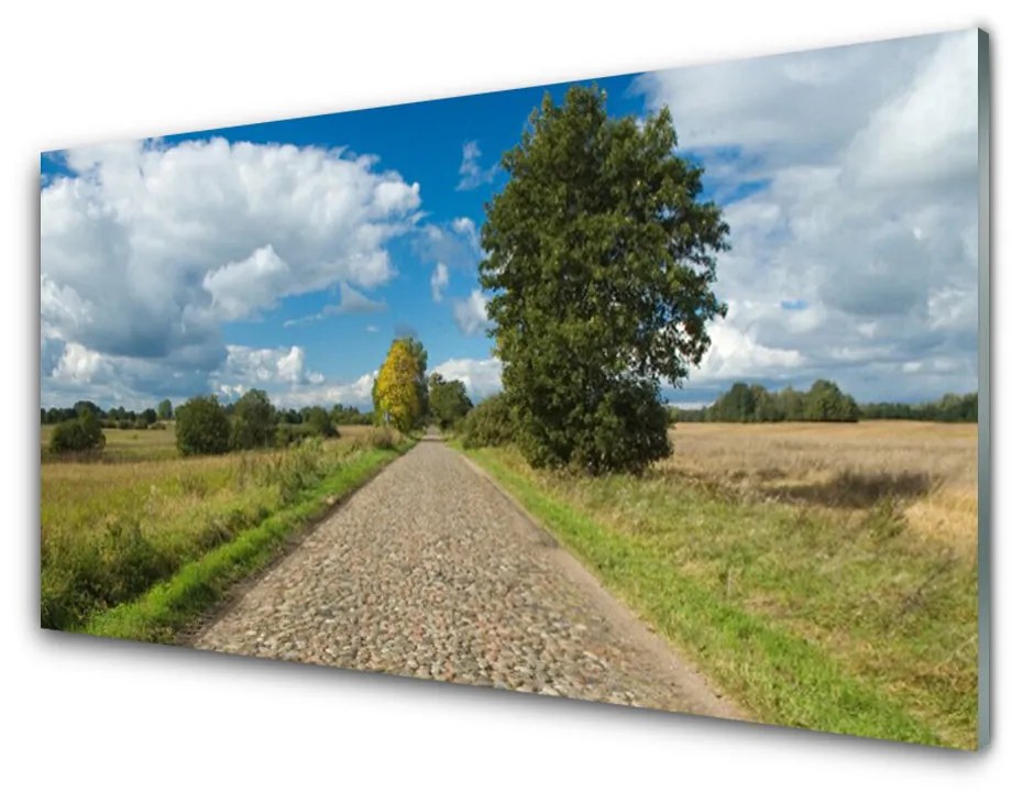 Obraz na skle Dedina cesta dlažba krajina 100x50 cm