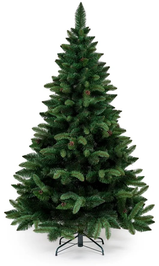 Borovica so šiškami- 160 cm