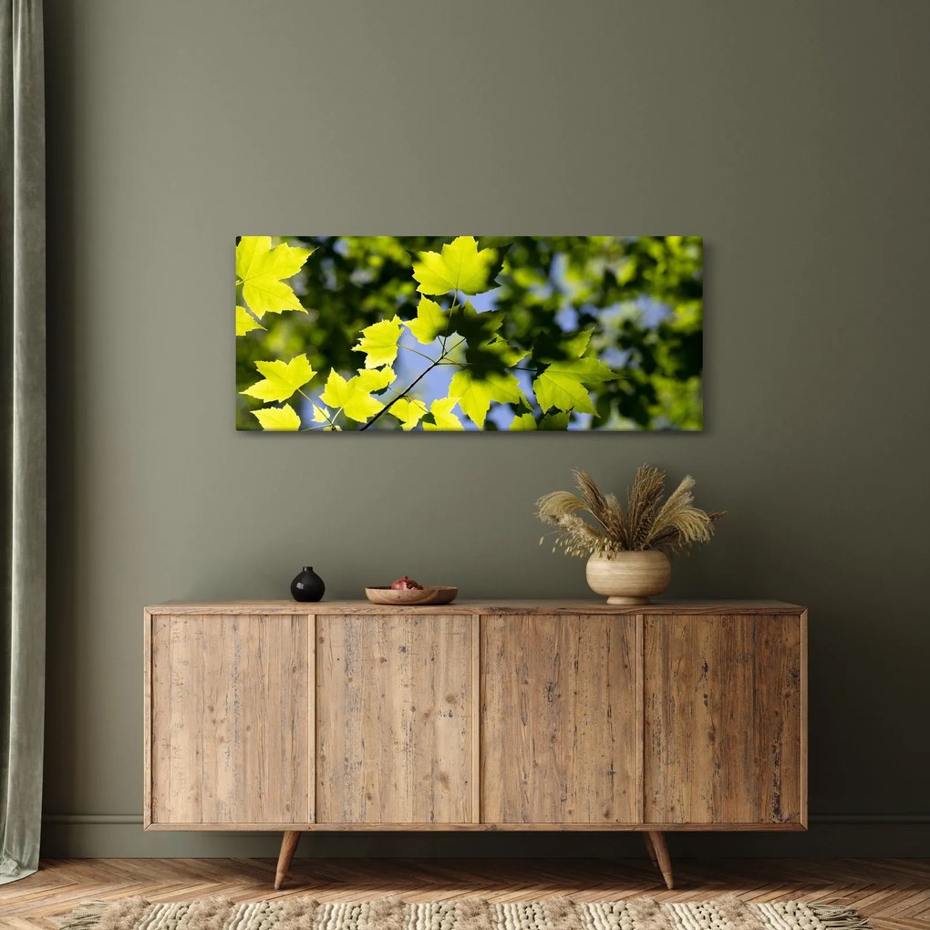 Obraz - javorové listy (120x50 cm)