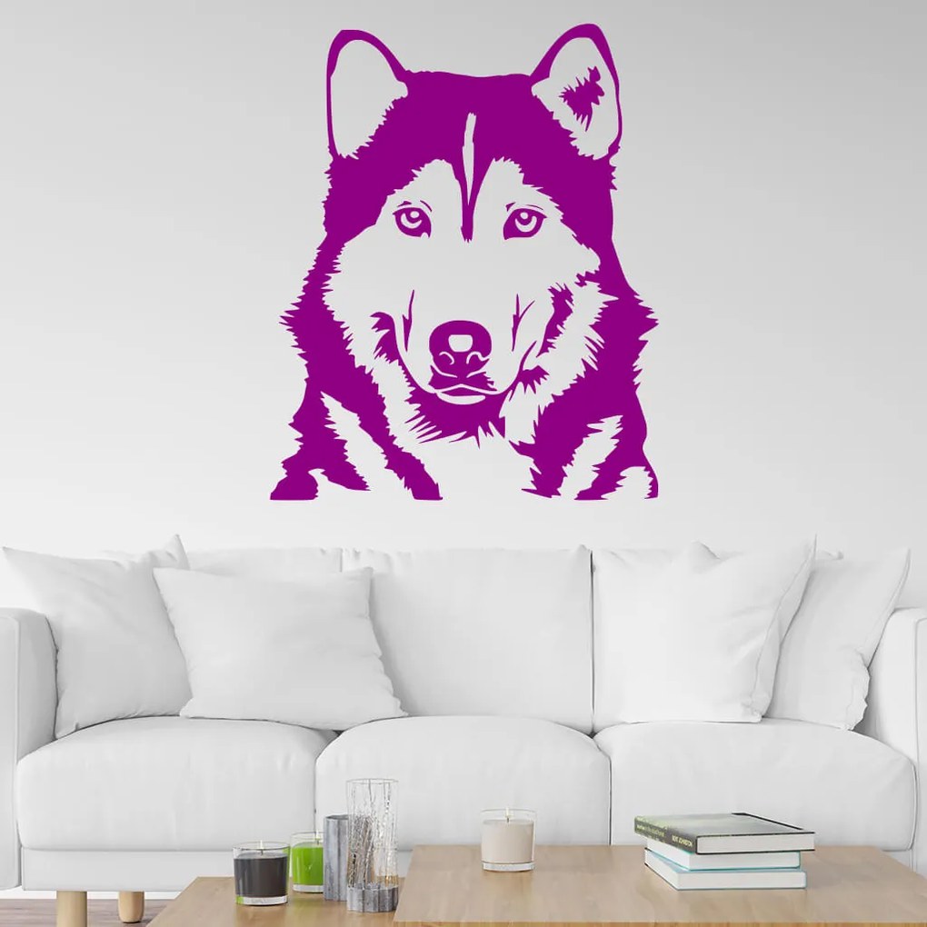 Veselá Stena Samolepka Husky Farba: šedá, Veľkosť: 100 x 81 cm