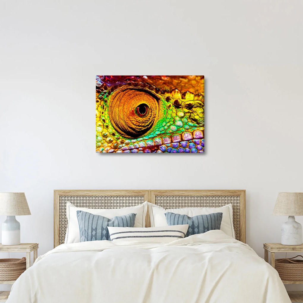Obraz - Chameleon (70x50 cm)