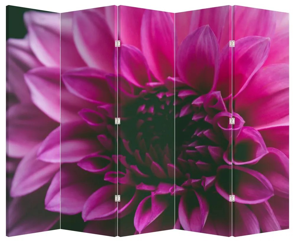 Paraván - Ružový kvet (210x170 cm)