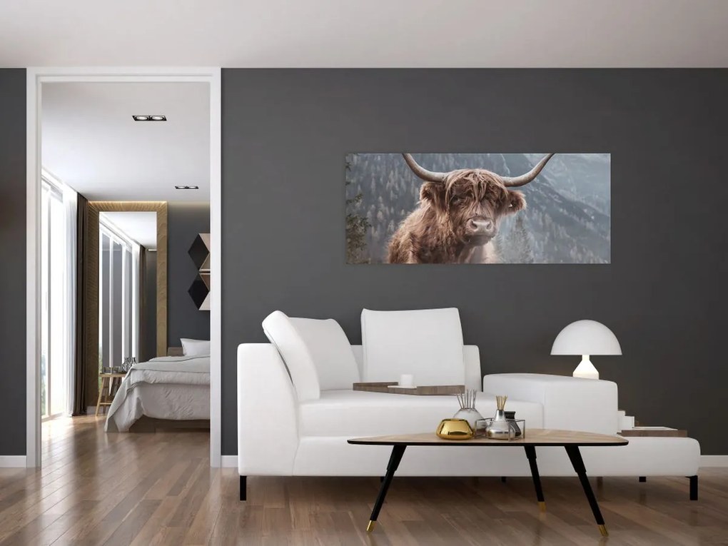 Obraz - Highlander krava (120x50 cm)