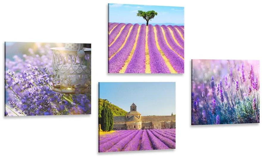 Set obrazov levanduľové bohatstvo Varianta: 4x 40x40