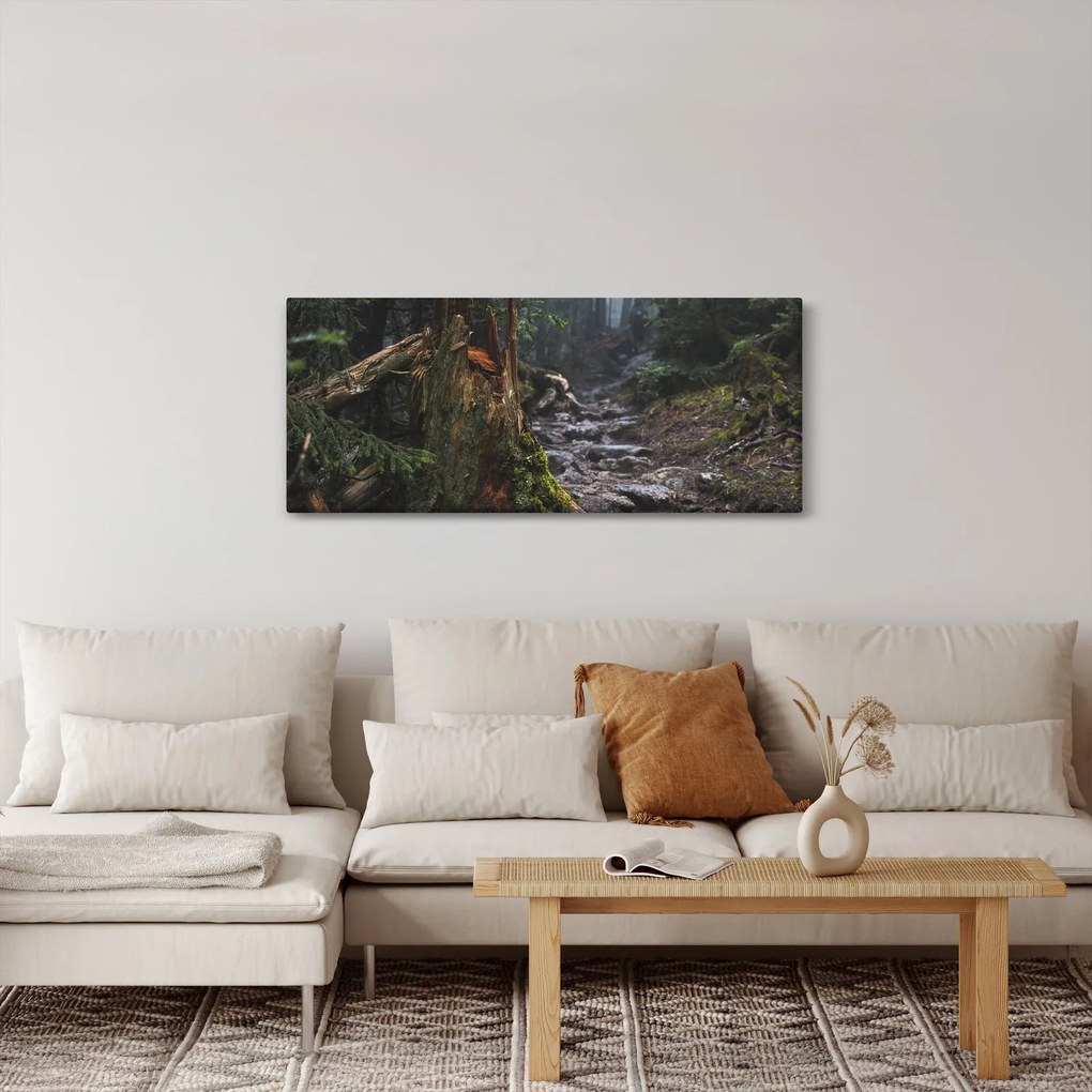 Obraz - V lese (120x50 cm)