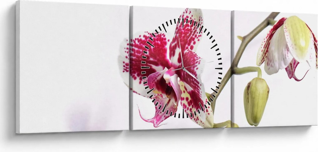 Obraz kvetu orchidey (s hodinami) (90x30 cm)