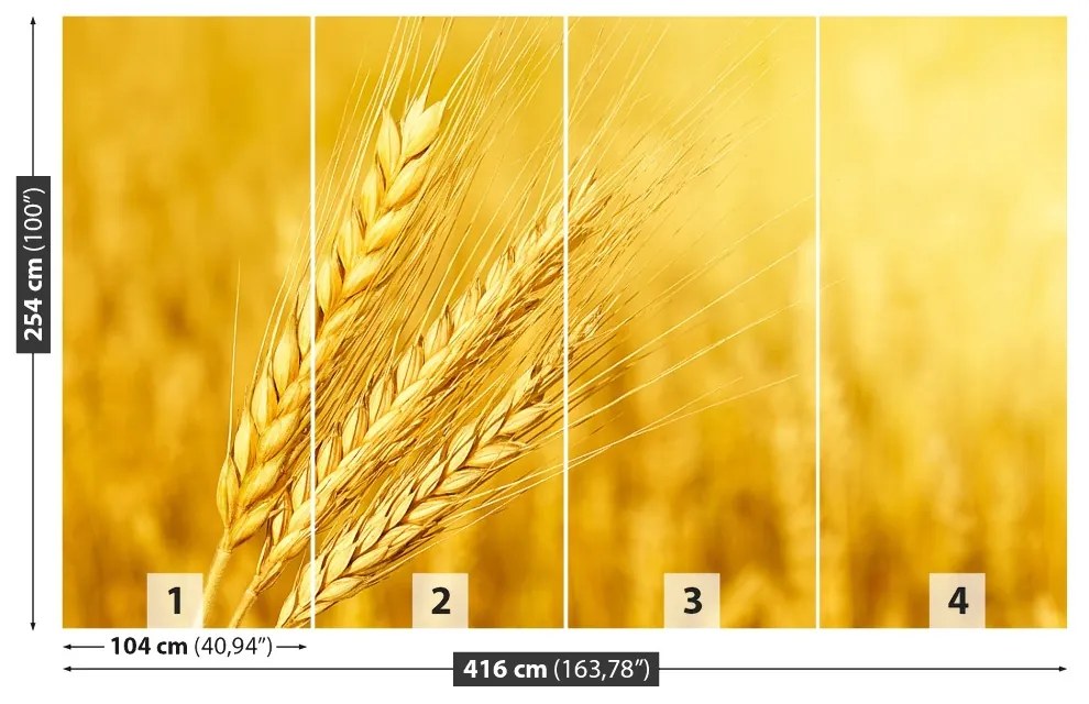 Fototapeta Vliesová Klas pšenice 250x104 cm
