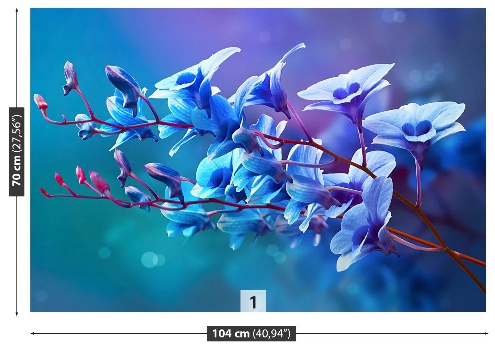 Fototapeta Vliesová Modrá orchidea 250x104 cm