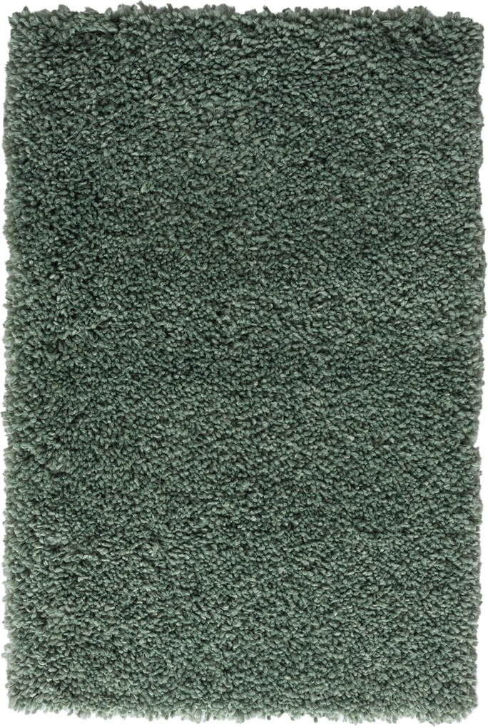 Kusový koberec My Shaggy hellgrün, 200x290, zelená, chodba / predsieň, My Flair