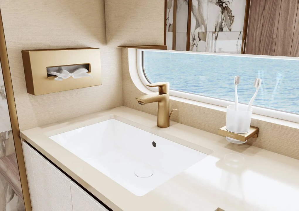 Hansgrohe AddStoris, nádobka na ústnu hygienu, kartáčovaný bronz, HAN-41749140