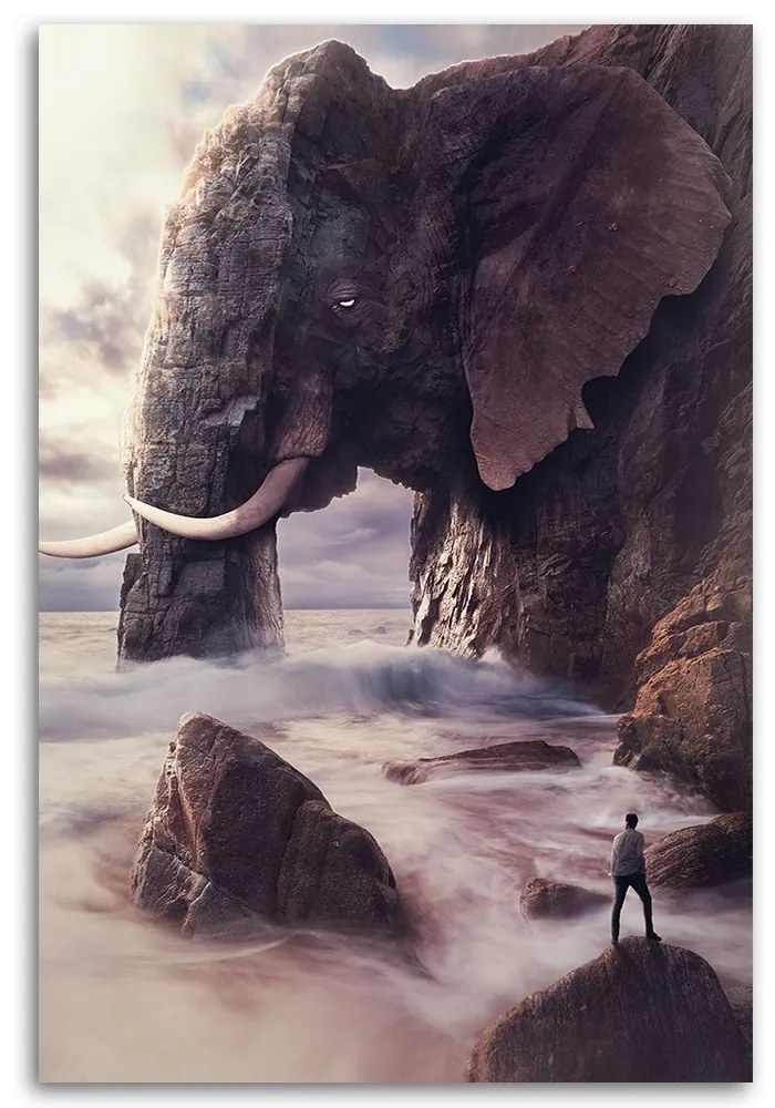 Gario Obraz na plátne Slon v skale - Patryk Andrzejewski Rozmery: 40 x 60 cm