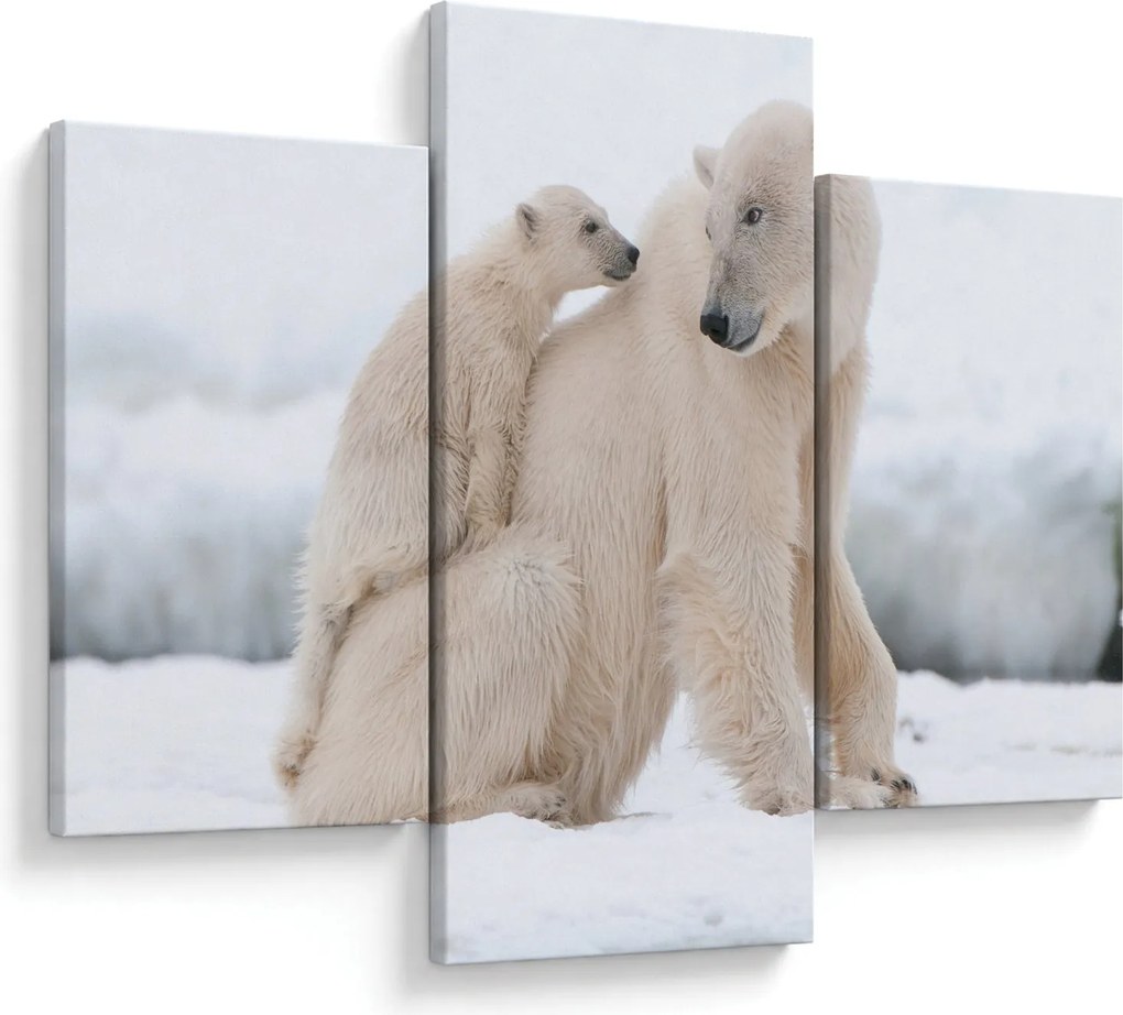 Obraz - Ľadové medvede (90x60 cm)