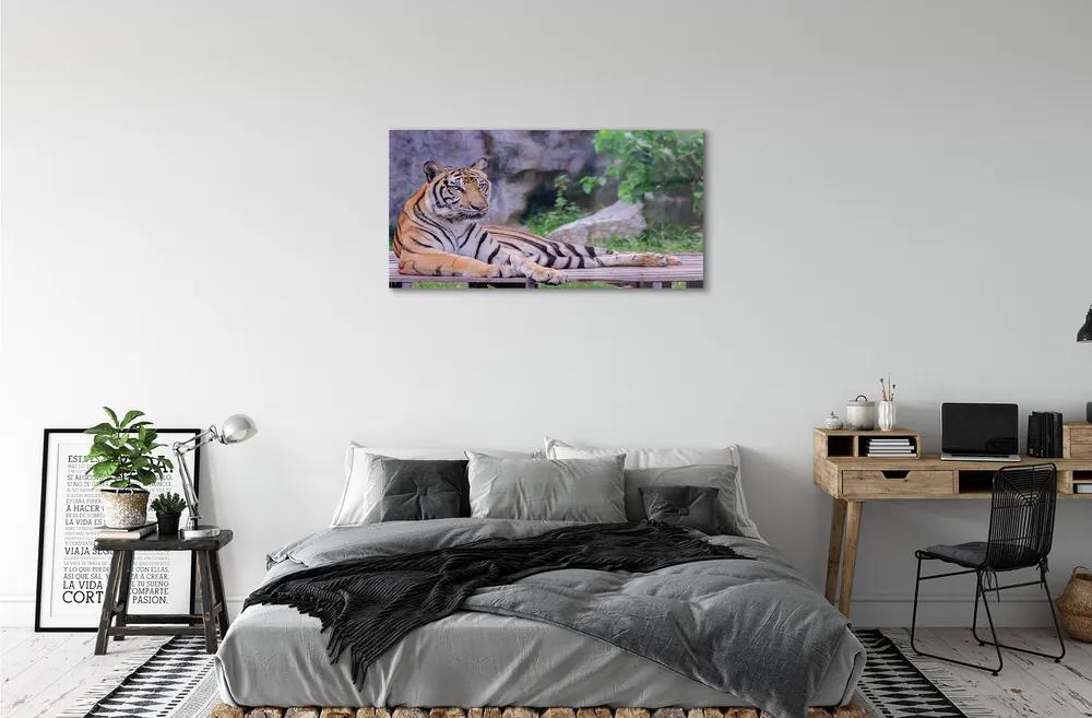 Sklenený obraz Tiger v zoo 120x60 cm