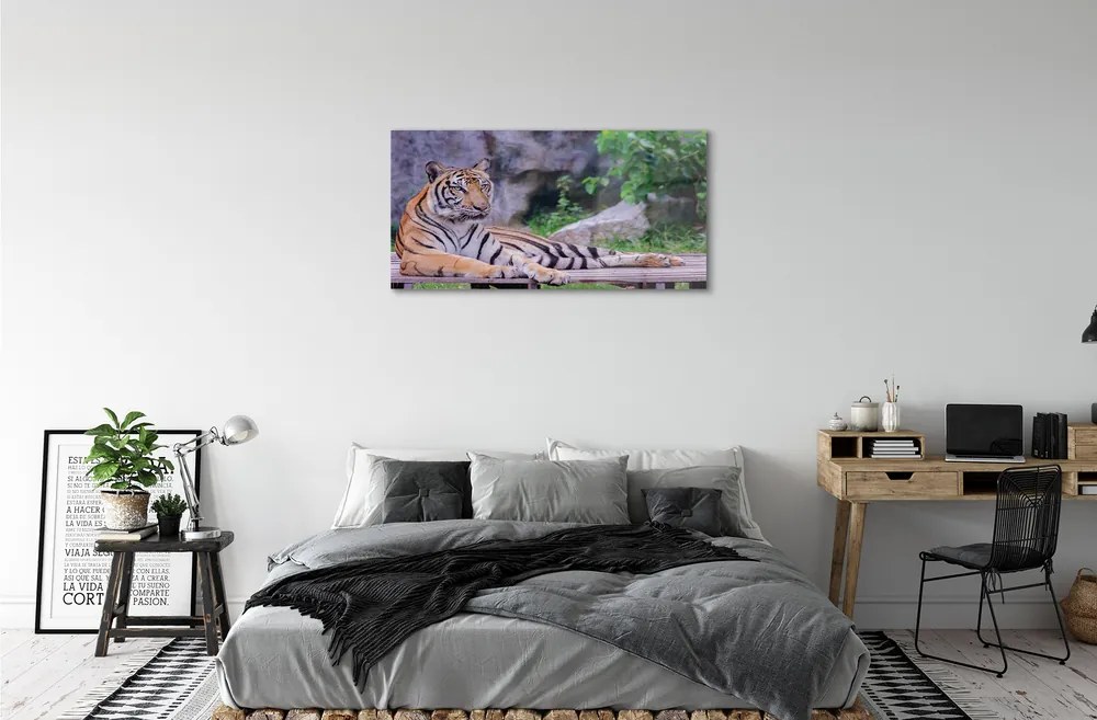 Sklenený obraz Tiger v zoo 125x50 cm