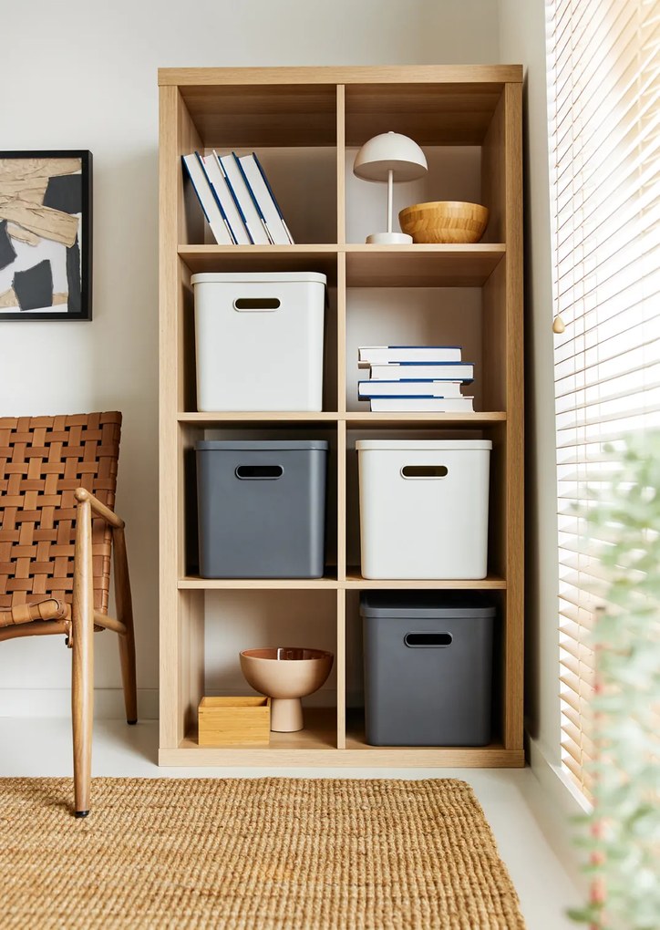 Rotho Úložný box, rovný s víkem, 27l, matně bílá ALBU LIGHT, 37x29x30