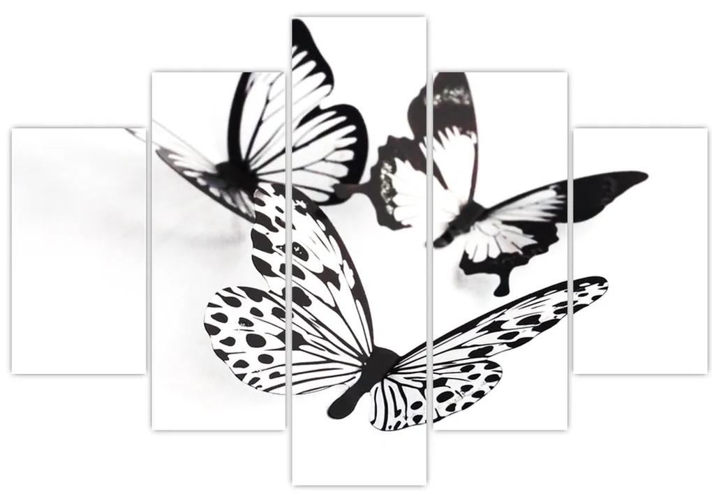 Obraz motýľov