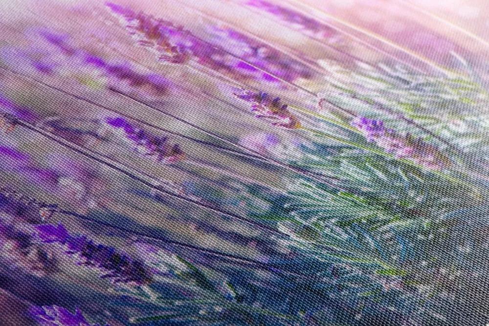 Obraz kúzelné kvety levandule - 60x40