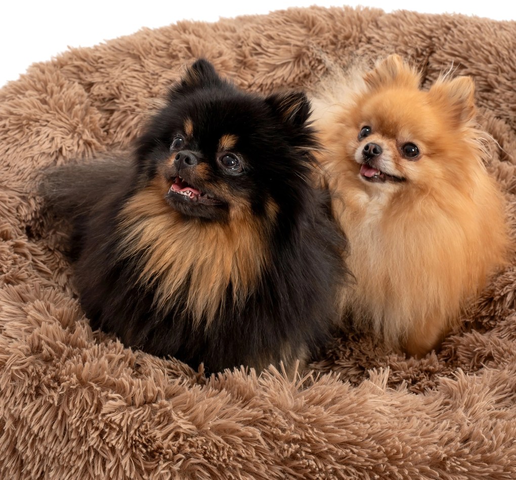 PuppyJoy Donut, okrúhly vankúš pre psa 100cm, veľkosť L, PJ-011, hnedá, HOM-50059