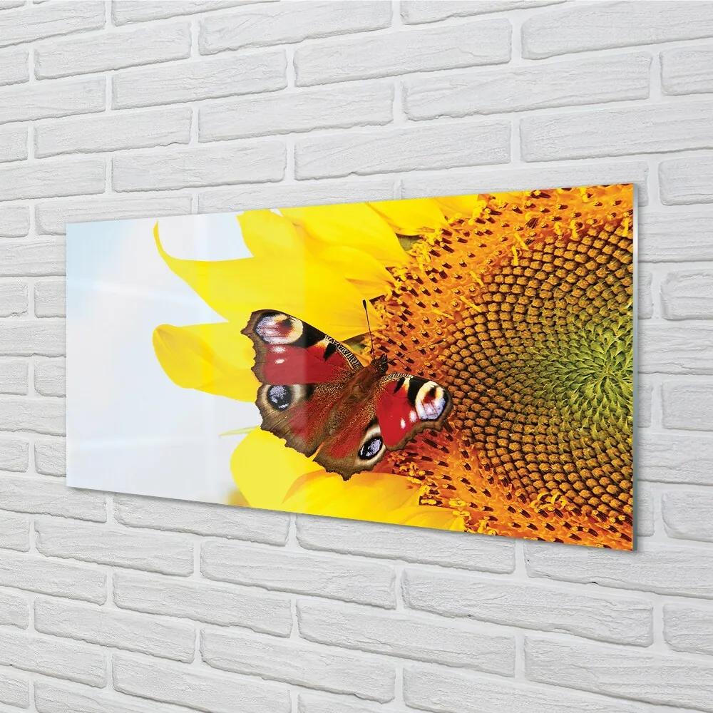 Sklenený obraz slnečnica motýľ 140x70 cm