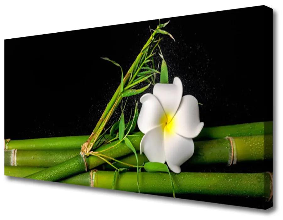Obraz na plátne Bambus kvet rastlina 125x50 cm