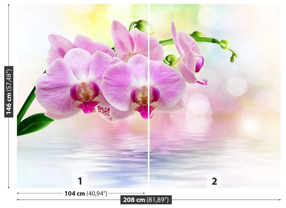 Fototapeta Vliesová Orchidea ruže 104x70 cm