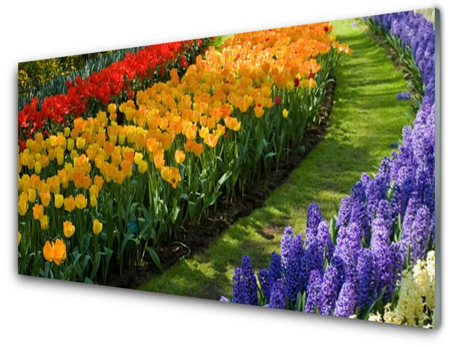 Sklenený obklad Do kuchyne Kvety záhrada tulipány 125x50 cm