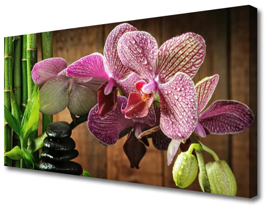 Obraz na plátne Kvetiny bambus rastlina 140x70 cm
