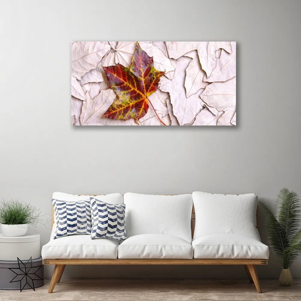 Obraz na plátne Listy rastlina 120x60 cm