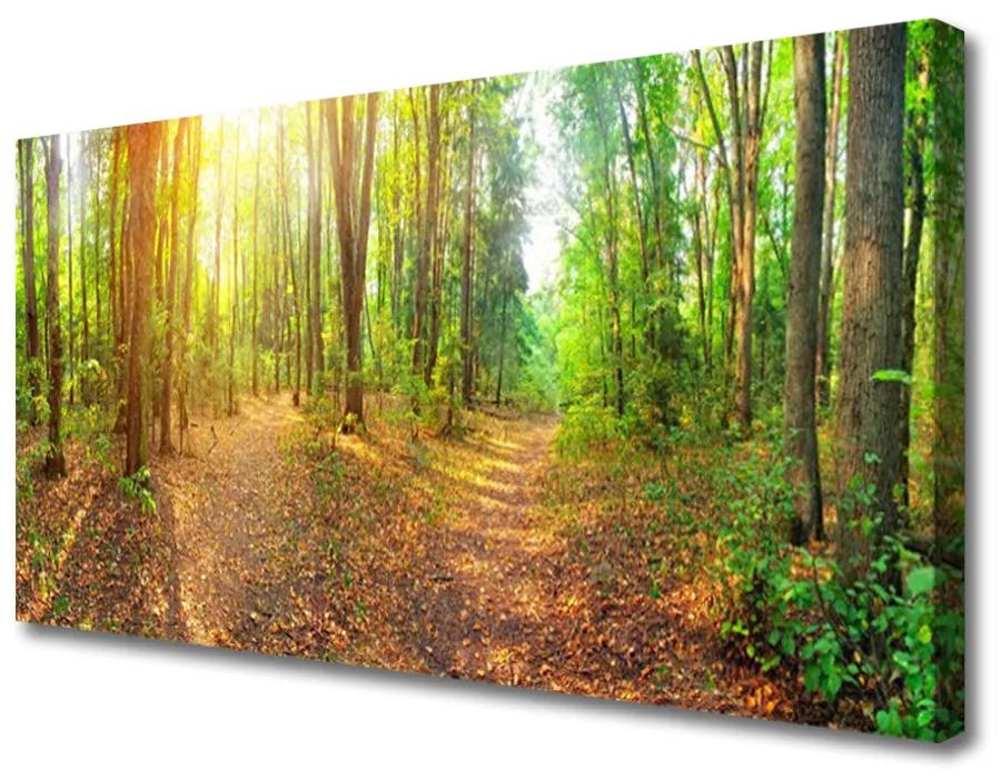 Obraz Canvas Slnko príroda lesné chodník 140x70 cm