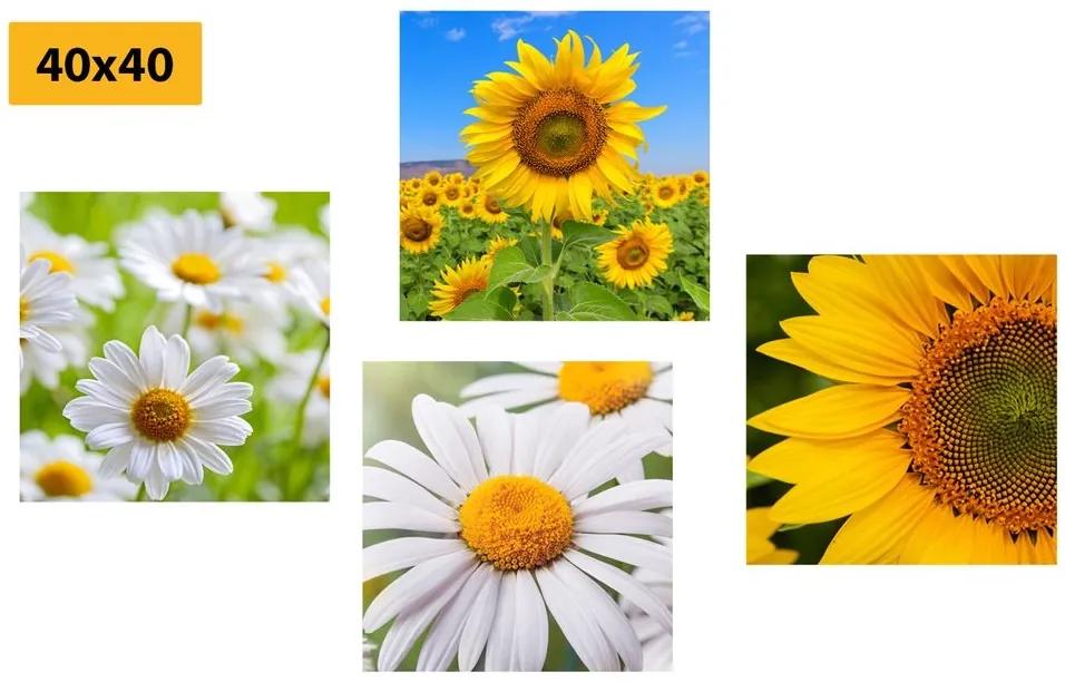 Set obrazov nádherné kvety na lúke - 4x 40x40