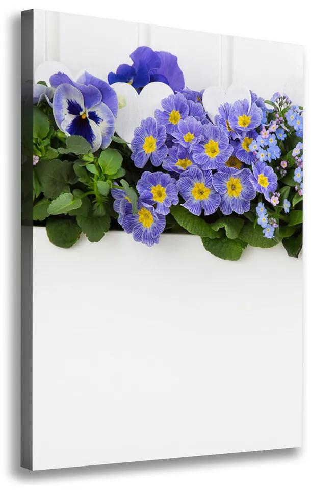 Foto obraz na plátne Fialové kvety pl-oc-70x100-f-99973378