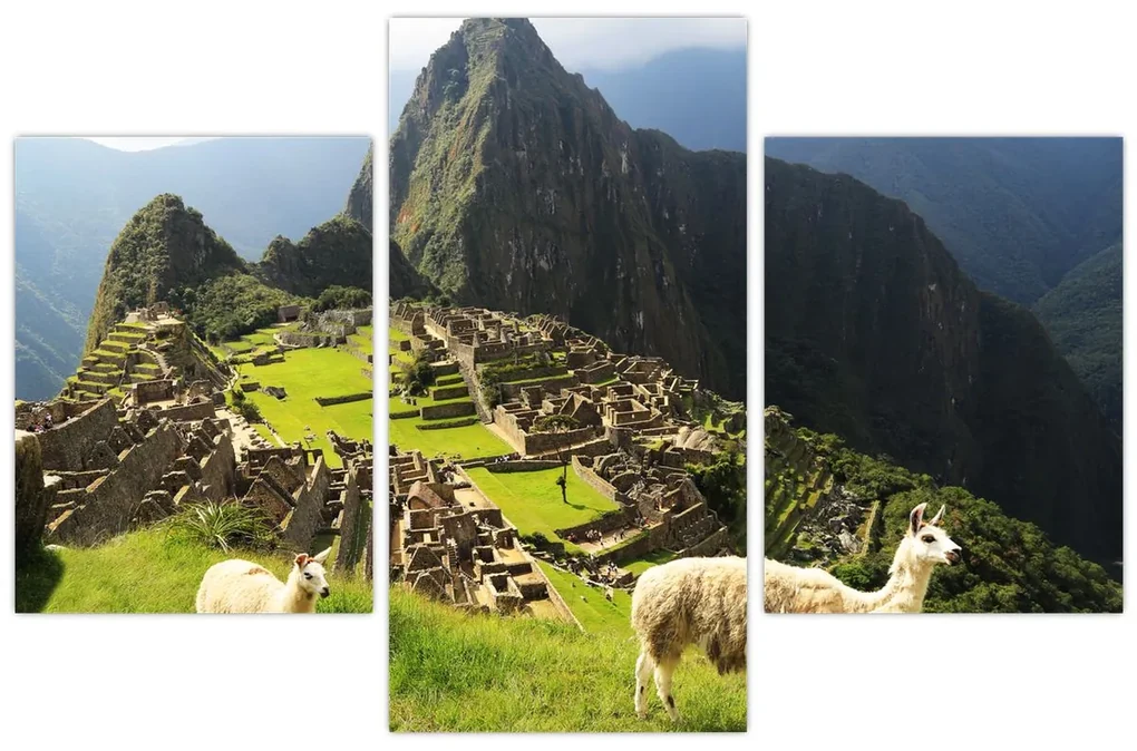 Obraz - Machu Picchu (90x60 cm)