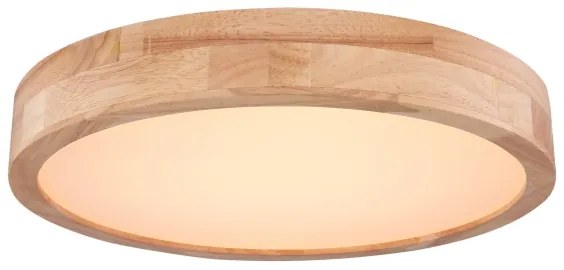 Globo 41745-24 - LED Stmievateľné stropné svietidlo RAINER LED/24W/230V + DO