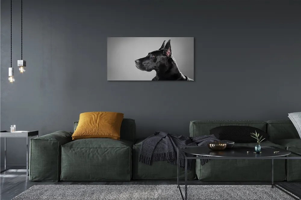 Obraz na plátne Čierny pes 100x50 cm
