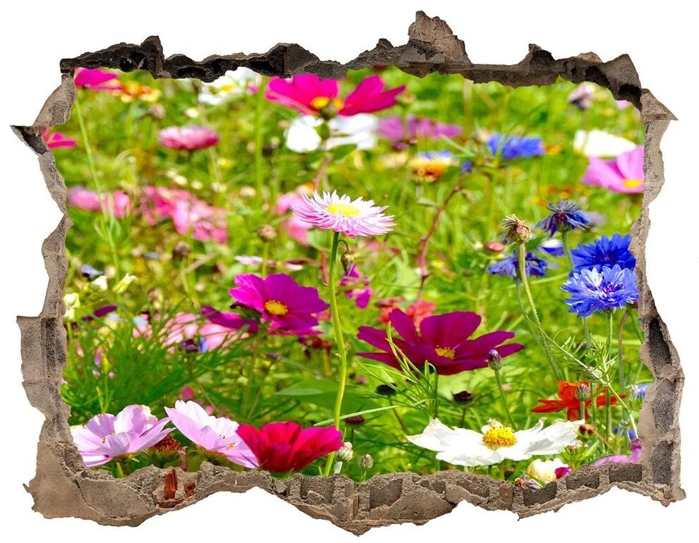 Samolepící nálepka fototapeta Poľné kvety nd-k-169402975
