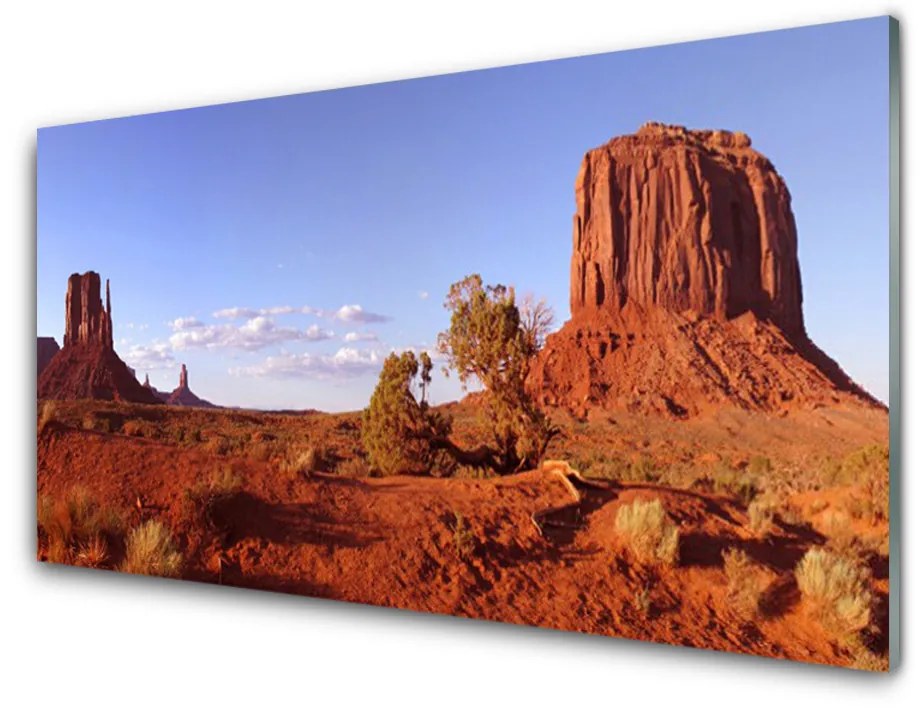 Nástenný panel  Púšť krajina 140x70cm