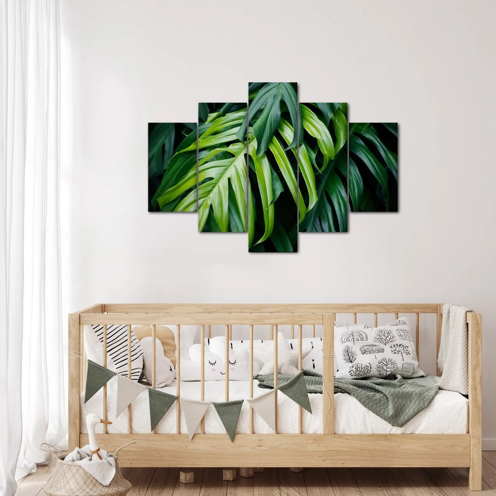 Obraz - Tropické listy (150x105 cm)
