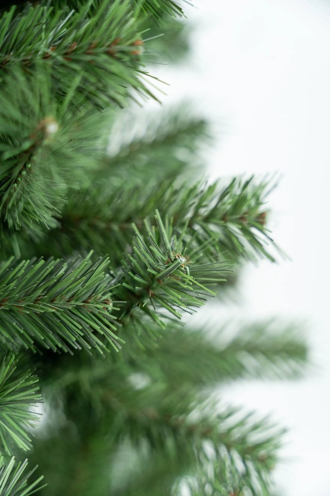 Limpol Jedľa Karolina 1,80 m