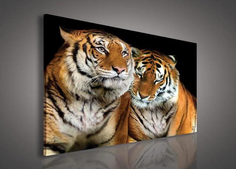Obraz na stenu tigre 100 x 75 cm