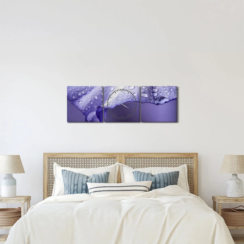 Obraz - Okvetný lístok s kvapkami (s hodinami) (90x30 cm)
