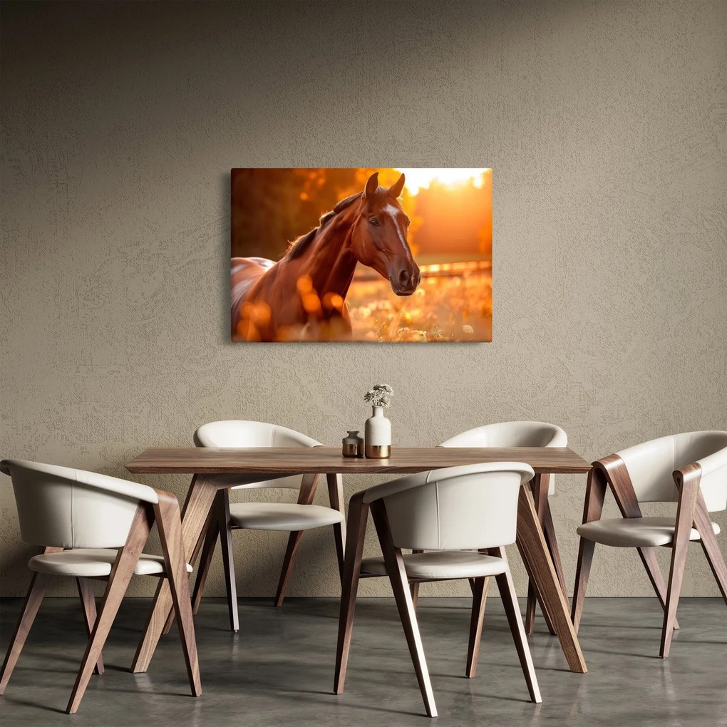Obraz - Kôň v západe slnka (90x60 cm)